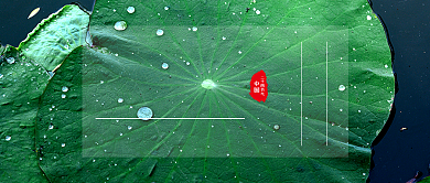 二十四节气夏至绿色简约公众号首图背景