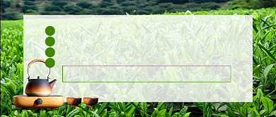 春茶上新促销茶叶新媒体配图背景