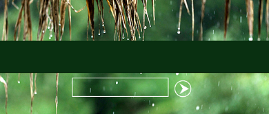 绿色简约节气谷雨公众号首图背景