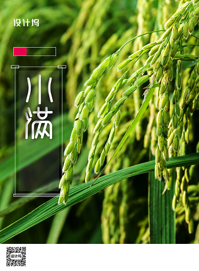 简洁清新小满节气意境海报背景