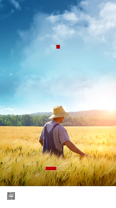 麦田农民芒种海报背景