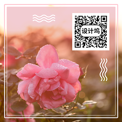 文艺清新励志新媒体二维码背景