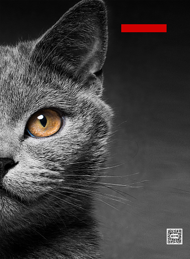 不要抛弃宠物人间有爱公益海报背景