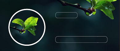 春分世界绿色清新嫩芽公众号首图背景