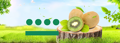 新鲜水果特惠banner背景