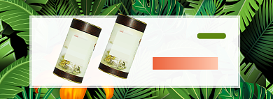 春茶新品上新banner背景