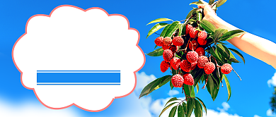 蓝色简约新鲜荔枝促销新媒体配图背景