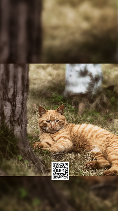 五月你好手机海报背景