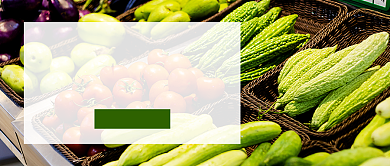 新鲜蔬菜促销配送新媒体配图背景