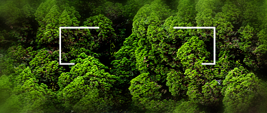 世界环境日简约新媒体配图背景