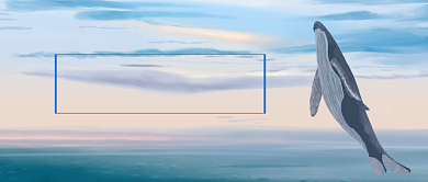 月签六月你好鲸鱼公众号首图背景