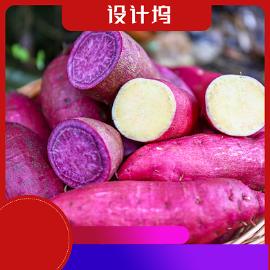 红色简约风农产品红薯紫薯电商主图背景