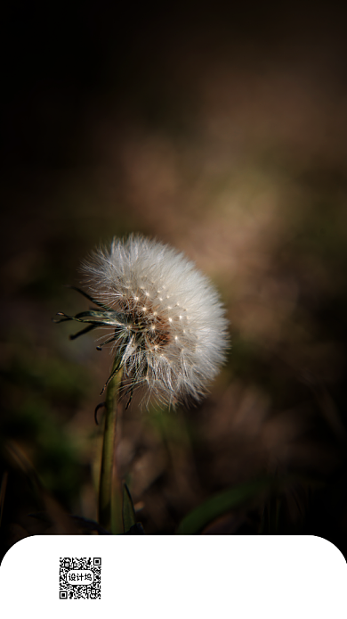 五月你好手机海报背景