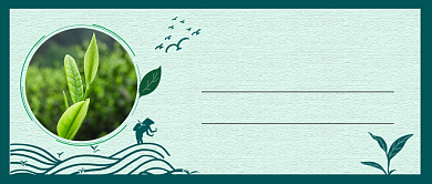 春茶上市嫩芽新茶公众号首图背景