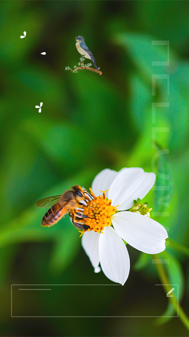 五月你好摄影图清新海报背景