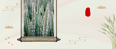 中国风小满节气公众号首图背景