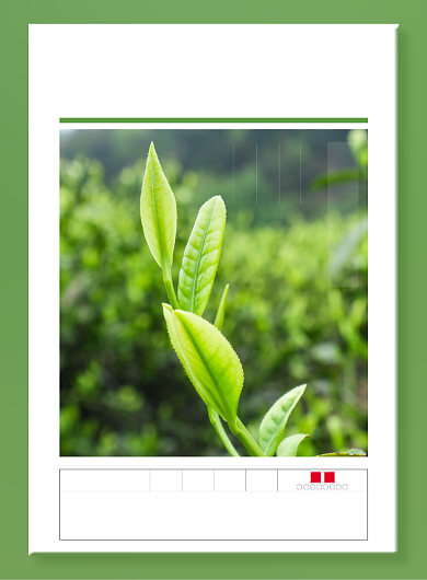 大气简约春茶上新印刷海报背景