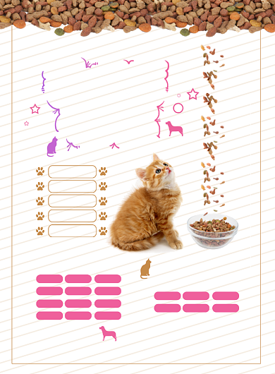 萌宠店假期寄养促销海报背景