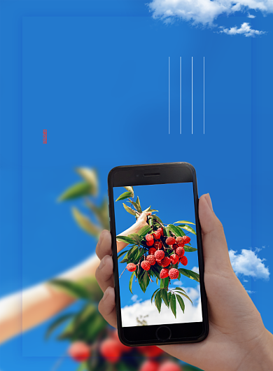 夏至节气手拿荔枝手机拍照宣传海报背景