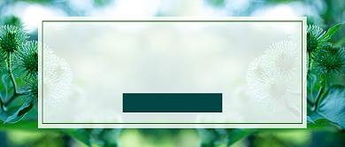 小暑节气养生窍门简约新媒体配图背景