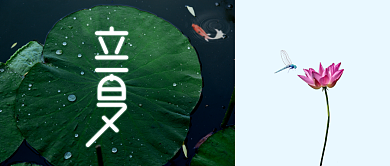 二十四节气立夏公众号首图背景