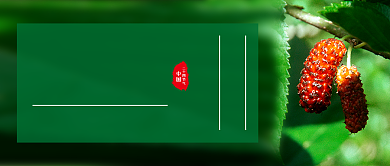 绿色简约节气小满新媒体配图背景