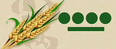 创意二十四节气之小满节气公众号首图背景