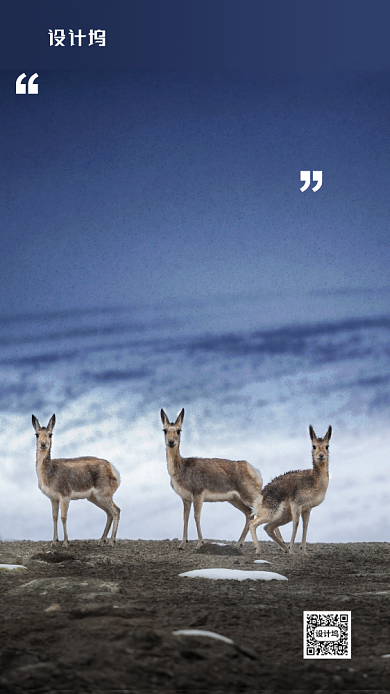 世界环境日宣传海报背景