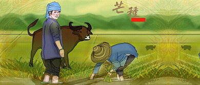 芒种传统节气手绘插画公众号首图背景