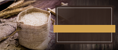 简约有机大米公众号首图背景