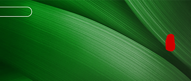 端午安康公众号首图背景