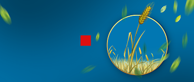 蓝色简约小满节气公众号首图背景