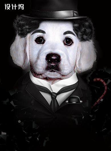 简约大气狗先生宠物店海报创意背景