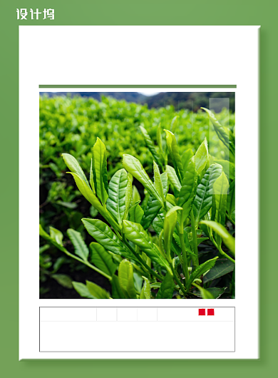 茶叶春茶上新春茶解读宣传印刷海报背景