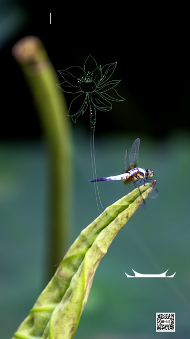 时尚清新夏至节气海报背景