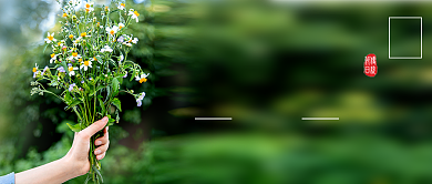 简约时尚节气小满新媒体配图背景