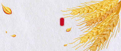 芒种传统节气公众号首图背景