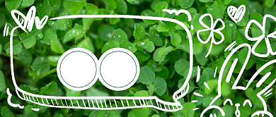 立夏小清新绿叶校庆首图背景