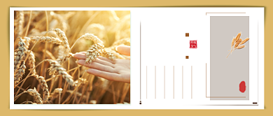 芒种传统节气简约公众号首图背景