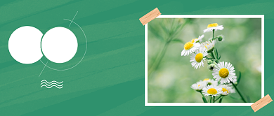 绿色文艺清新6月你好图文宣传背景