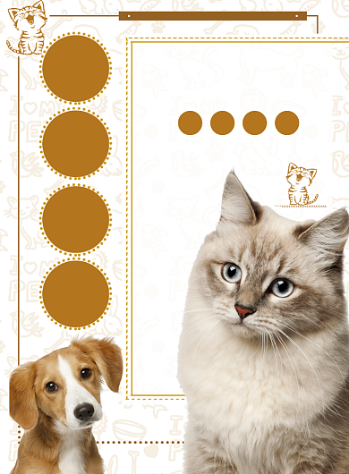 可爱风格公益宠物海报背景