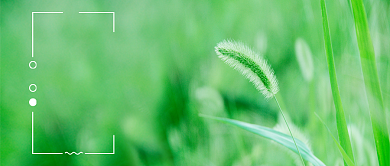 二十四节气-立夏公众号首图背景