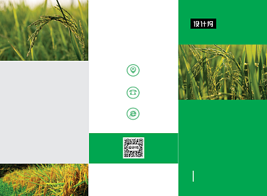 绿色农业水稻种植技术宣传三折页模板背景