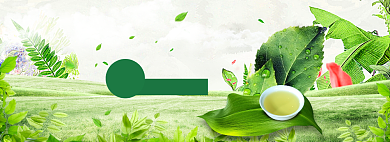 春茶春季上新海报banner背景