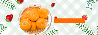 蔬菜水果海报banner背景