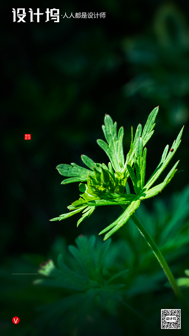 房地产端午节艾草手机海报背景