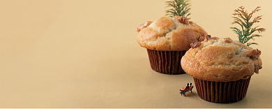 卡通可爱蛋糕预订优惠券背景