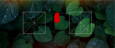 谷雨时节二十四节气背景