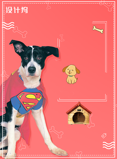 宠物带我回家爱心领养海报背景