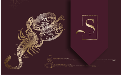 深红色复古蝎子名片背景